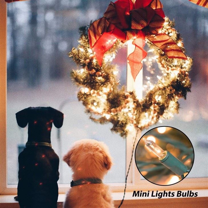 100 Count 25 Feet Clear Christmas String Lights